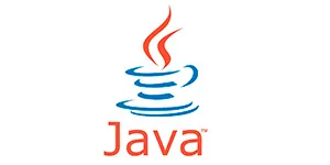 lenguaje programación