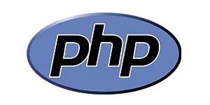 lenguaje programación